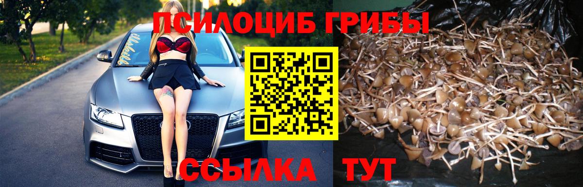 Псилоцибиновые грибы мухоморы Спасск-Дальний