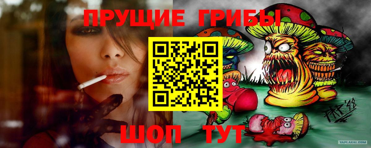 Спасск-Дальний  Псилоцибиновые грибы прущие грибы  Вход с VPN 